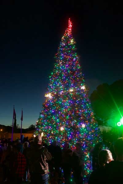 Jon Johnson Photo/Gila Valley Central: The Christmas tree shines bright at Safford City Hall. 