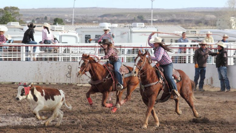 Eric Burk Photo/Gila Valley Central: Two cowgirls attempt to catch a calf in the high school team roping event.