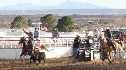 Eric Burk Photo: Gila Valley Central: Wyatt Kent and Daylan Barton chase a calf to win the high school team roping event.