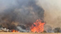 Bryce fire