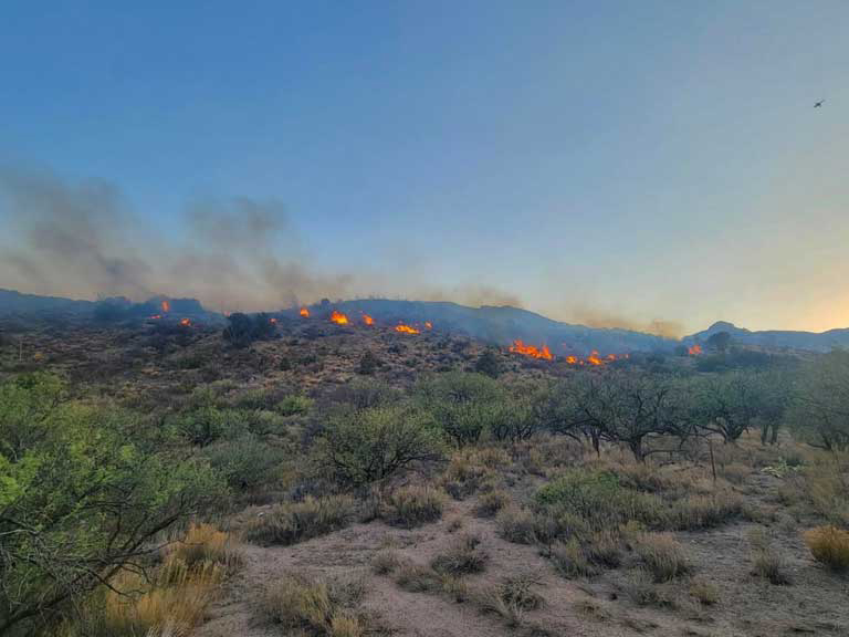 Goodwin fire at 20-percent containment – GilaValleyCentral